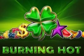 burning hot logo