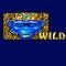 diamond monkey wild scatter